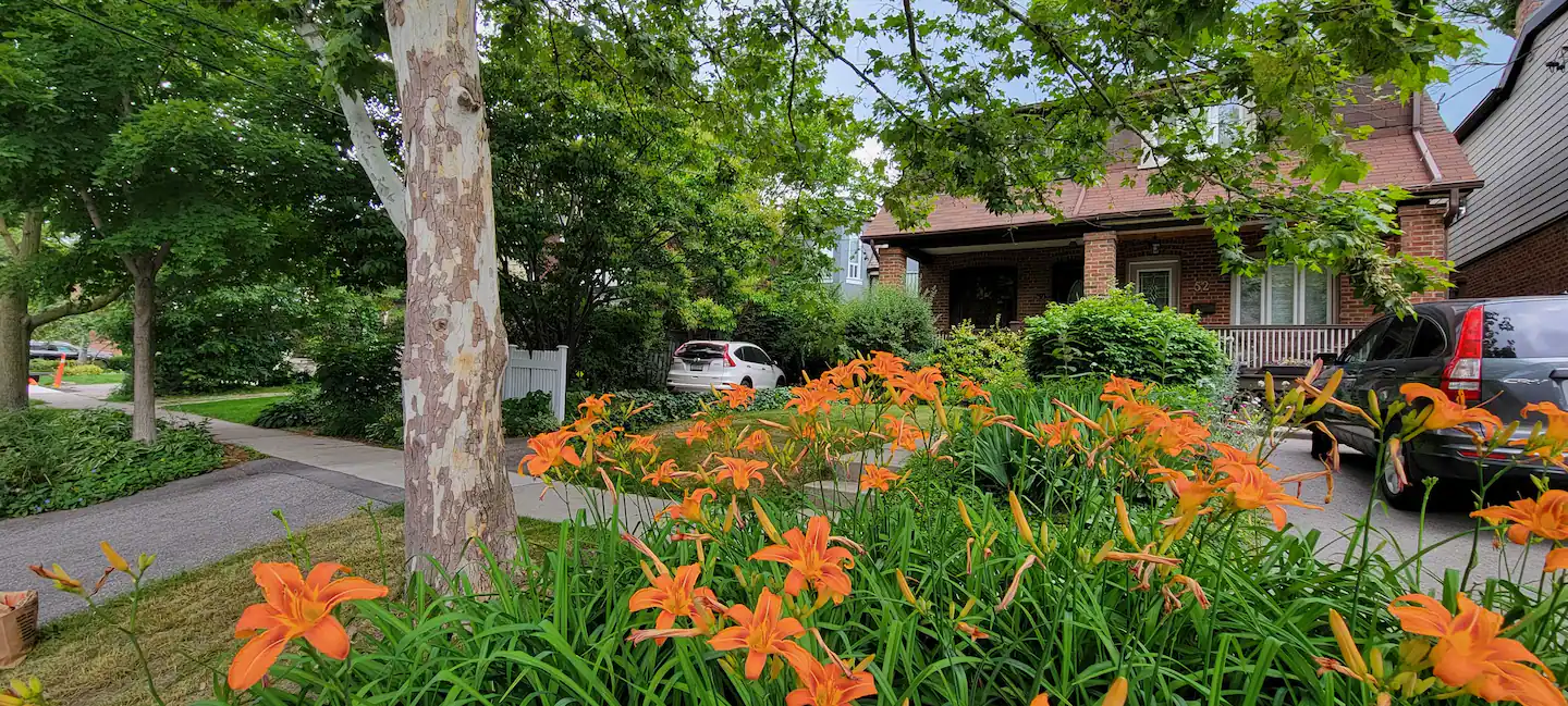 Urban Chic Toronto Gem