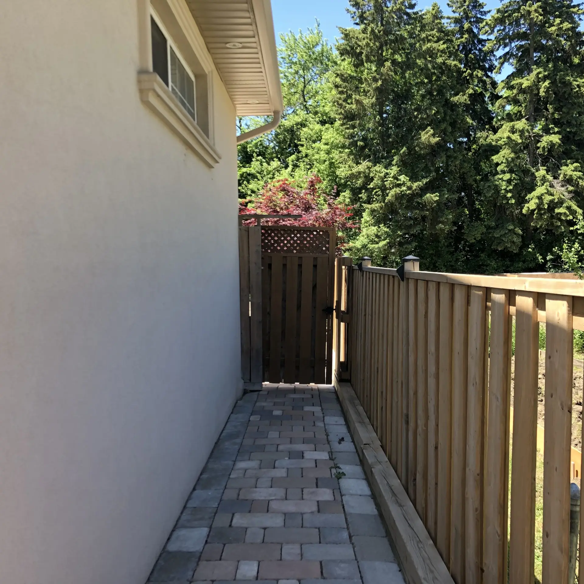 Stylish 1-Bedroom Basement Apartment in Prime Willowdale East Location
