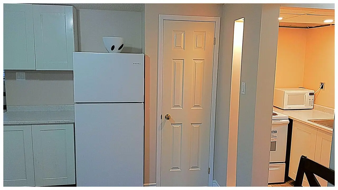 Renovated Bright 1-Bed Basement Apartment Near Oshawa Centre – Ideal for Couples