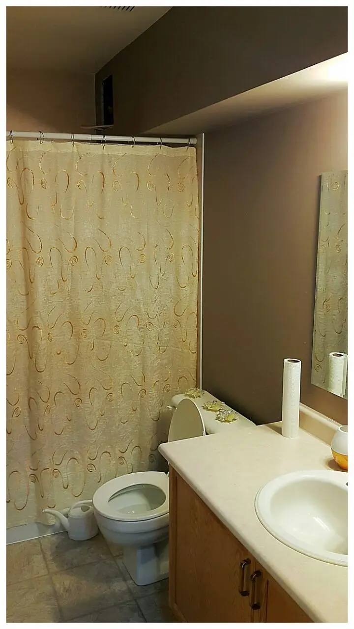 Renovated Bright 1-Bed Basement Apartment Near Oshawa Centre – Ideal for Couples