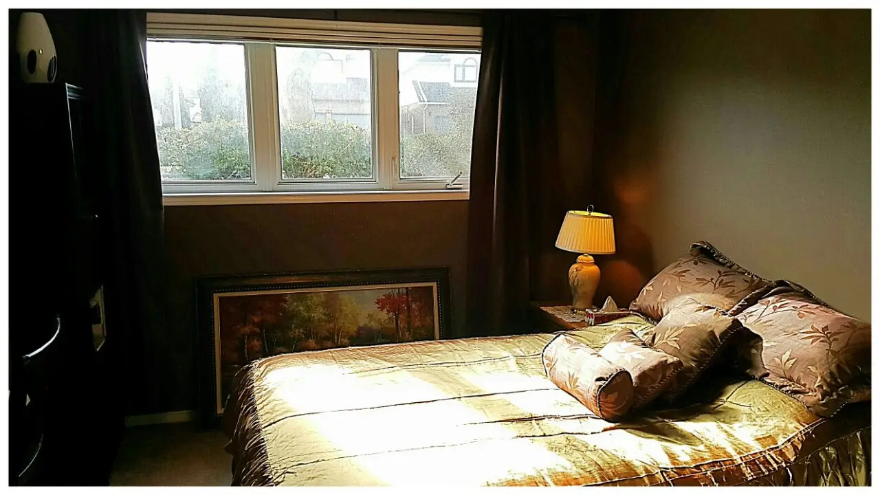 Renovated Bright 1-Bed Basement Apartment Near Oshawa Centre – Ideal for Couples