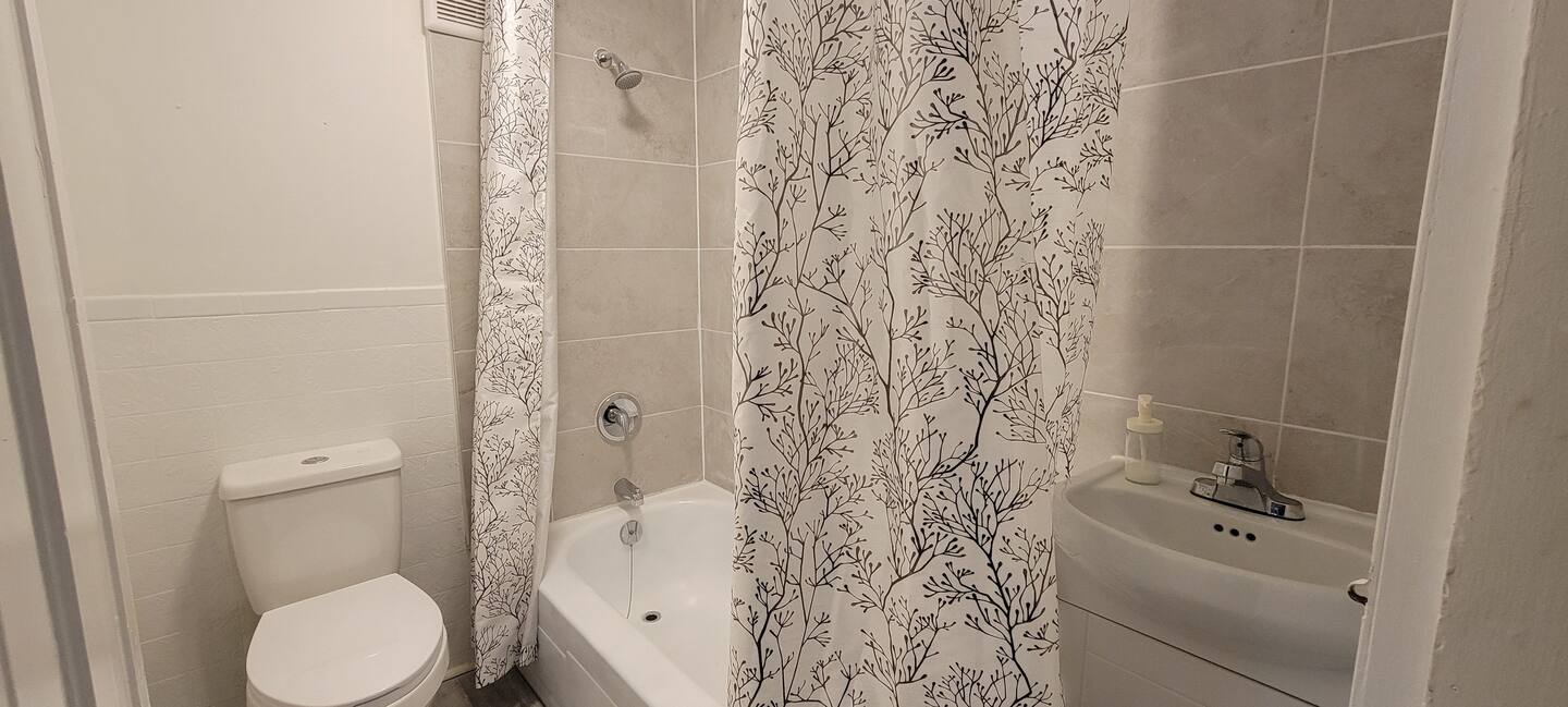 Affordable 3-Bed Semi-Attached Home in Palmerston-Little Italy, Near Transit
